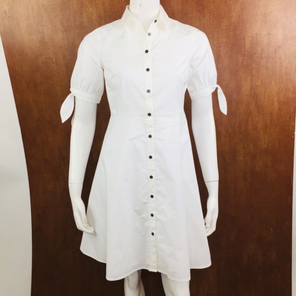 Ann Taylor Petite Button Down Shirt Dress 0P